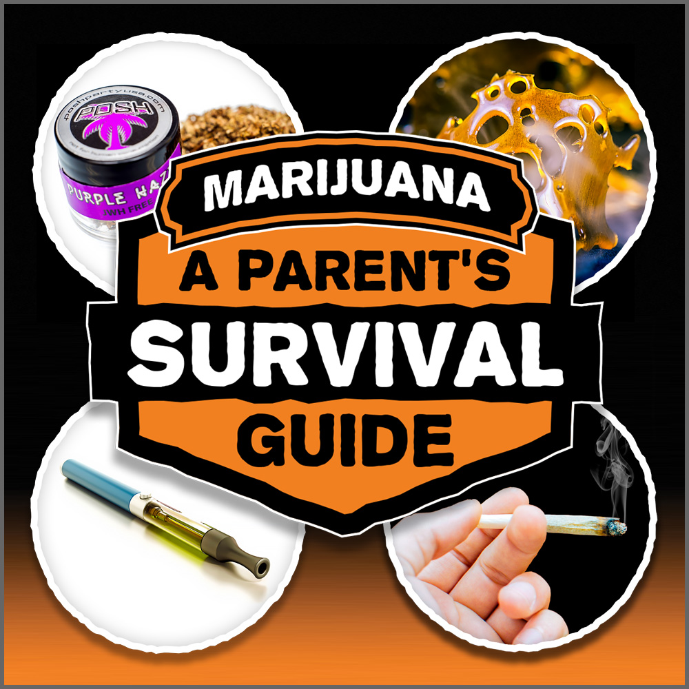 Logo with the words marijuana, a parent's survival guide