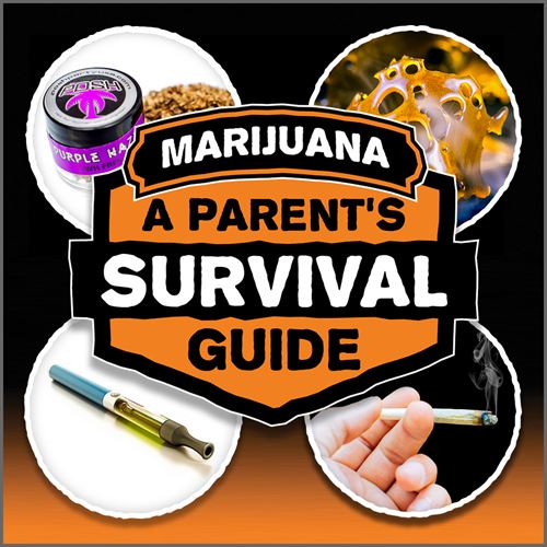 a parent's survival guide