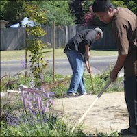 Students gardening