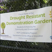Banner: Drought Resistant Demonstration Garden
