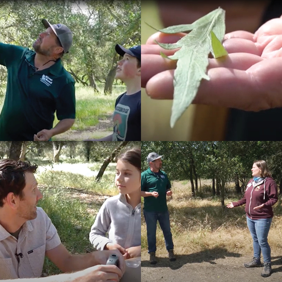 Still frames from video with teachers and children learning about the American River environment
