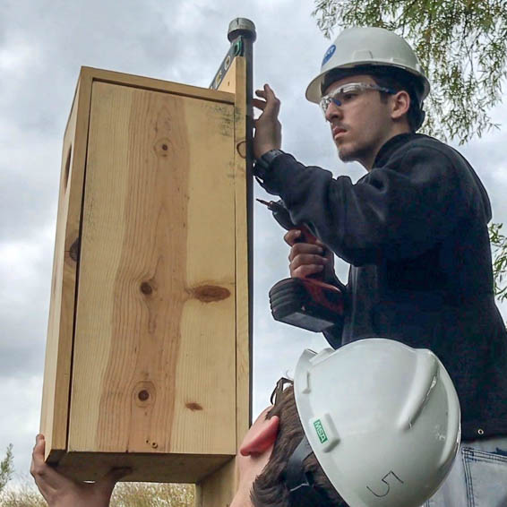 Students on ladder installing duck box