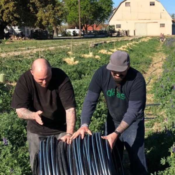Clients deploying drip irrigation hose