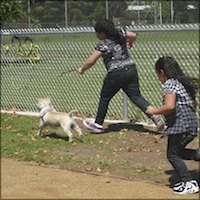 Children running with small dog