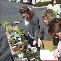 Employees buying plants
