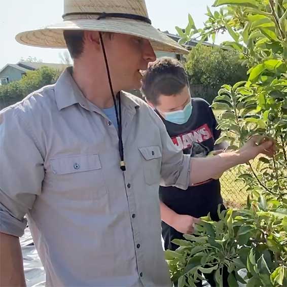 Kevin Jordan talking to student about fruit tree