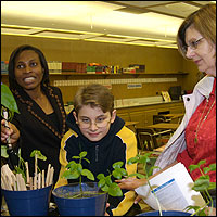 Student looking closely at potted plants