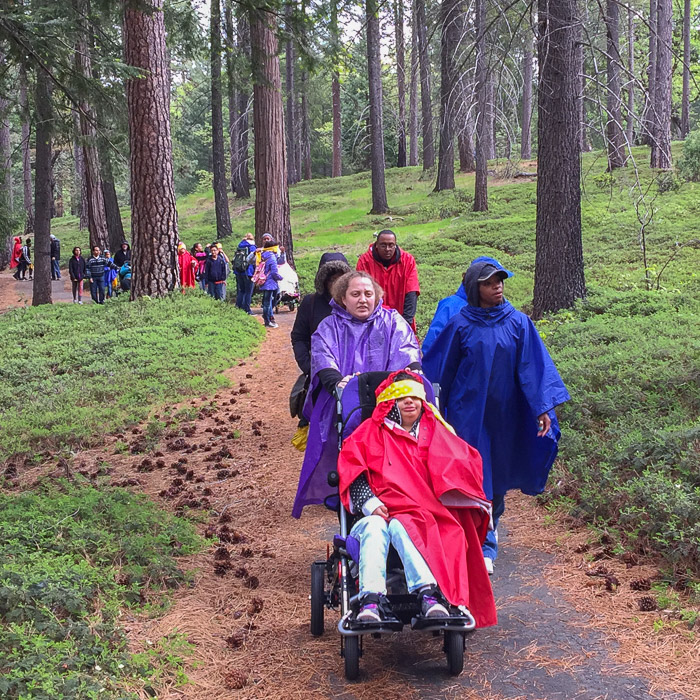 Students being pushed in wheelchairs on forest path