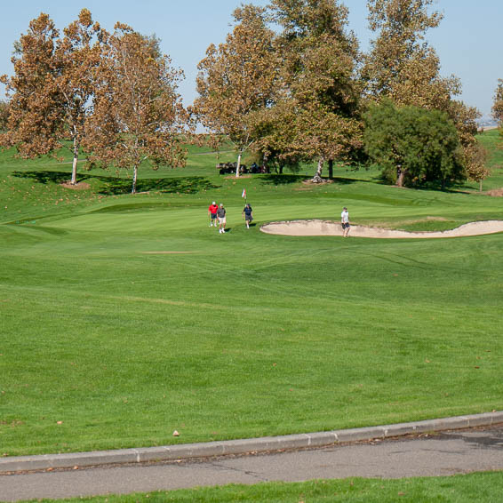 Golfers walking on course